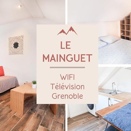 Le Mainguet - Appartement Cosy - Grenoble Exterior foto