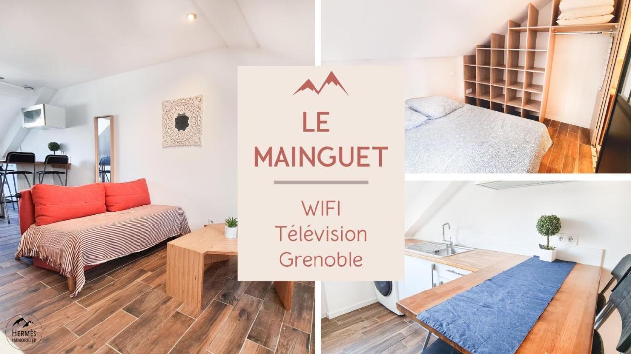 Le Mainguet - Appartement Cosy - Grenoble Exterior foto